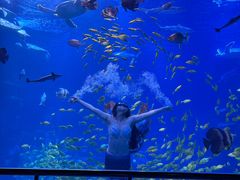 -太平洋海底世界