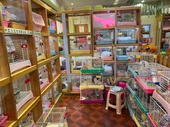-宠物兔专门店(天丰利市场店)