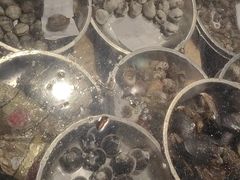 -瞻岐金锅饭店