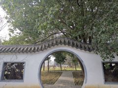 -东湖落雁景区