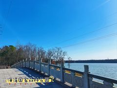 -上海海湾国家森林公园