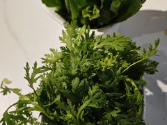 -葛记红焖羊肉(人民路店)