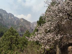 -狼牙山风景区