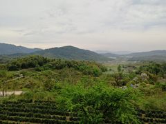 -塔川景区
