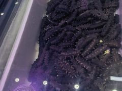 -桃源市场(解放路店)