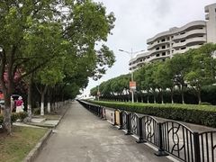 -碧海金沙