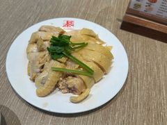 -泰煌鸡·上海白斩鸡·鸡汤面(鹤庆店)
