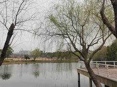 -新江湾城公园