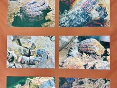 -秦始皇帝陵博物院(兵马俑)