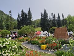 -深圳仙湖植物园