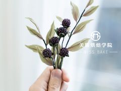 -美斯烘焙培训学院•蛋糕•面包•咖啡(宝安校区)
