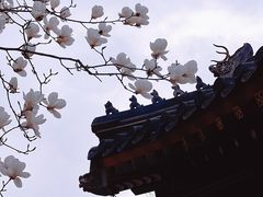 -北京艺术博物馆(万寿寺)