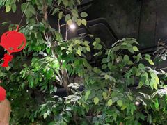 -原味田园·客家菜·土窑鸡(中航城君尚购物中心店)