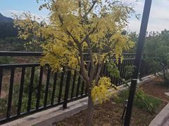 -梨木台悦来客农家院