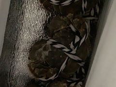 -七的湖·晚芳亭·阳澄湖农家菜·大闸蟹(莲花岛店)