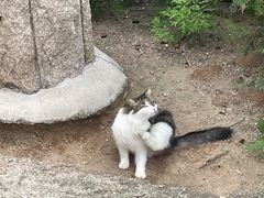 -北京凤凰岭