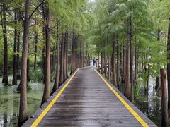 -云龙湖旅游景区