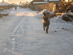 -北极村旅游风景区