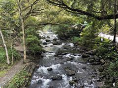 -广州市石门国家森林公园