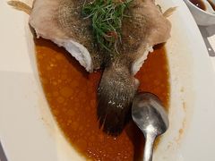 椒麻蒸桂花鱼-玫瑰厅上海菜(兴国路店)