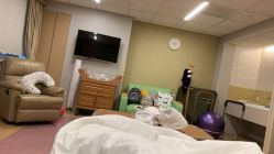 -杭州贝瑞斯美华妇儿医院·早孕·产检·儿科