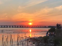 -宝安西湾红树林湿地公园