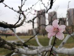 -府河摄影公园