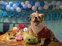 -百好乐宠物友好餐厅(朝外大街店)