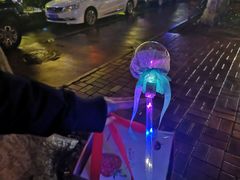 -碧特博格啤酒花园餐厅(芜湖路店)
