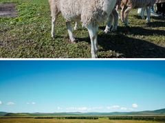 -呼和诺尔旅游景区