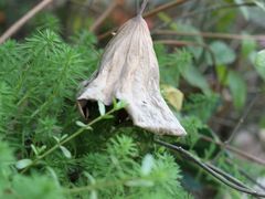 -行人小筑·茶馆(岑村火炉山分店)