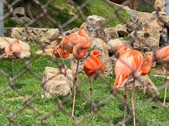 -沈阳森林动物园