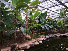 -南通洲际绿博园