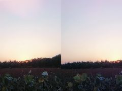 -瑶湖郊野森林公园