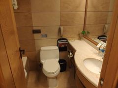 -长沙小天鹅戴斯酒店