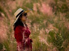 -艾溪湖湿地公园