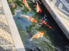 -西安市广仁寺