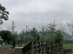 -桂溪生态公园