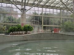 -融汇温泉