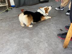 -阿尔法海鲜排档(爱琴海店)