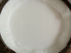 特浓椰子冻-椰爺爺·椰子冻砵仔糕