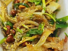 陈添记爽鱼皮-陈添記·祖傳爽鱼皮·西关老字号(广州首店)