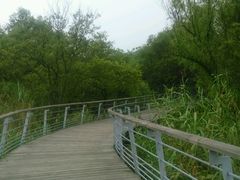 android_upload_pic-西湖风景区-江洋畈生态公园