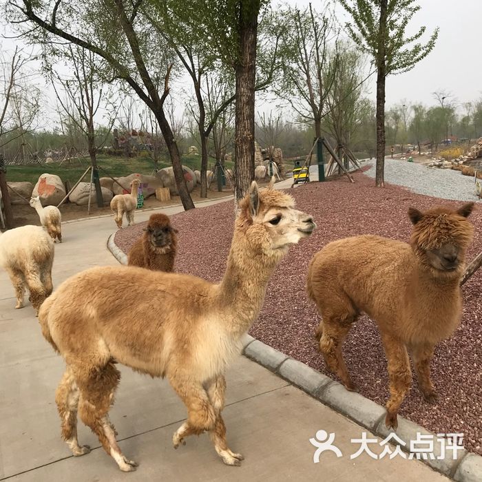 北京野生动物园