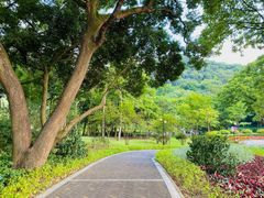 -云溪植物园