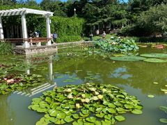 -国家植物园南园