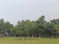 -盘龙城国家考古遗址公园