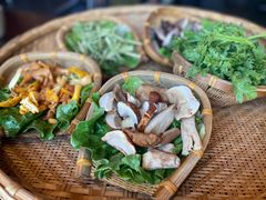 -滇野云南野生菌餐厅(陕西南路店)