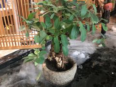 -水悦汇