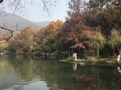 -紫霞湖公园